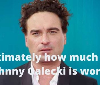 Approximately how much money Johnny Galecki is worth